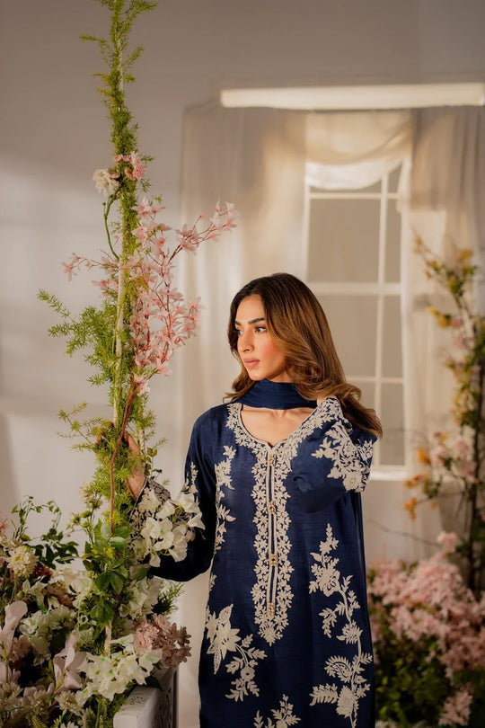SIFRON - 3PC EMBROIDERED DRESS